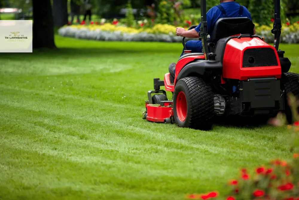 Expert yard cleanup service near you across Murfreesboro, TN - Tn Lawnsmiths