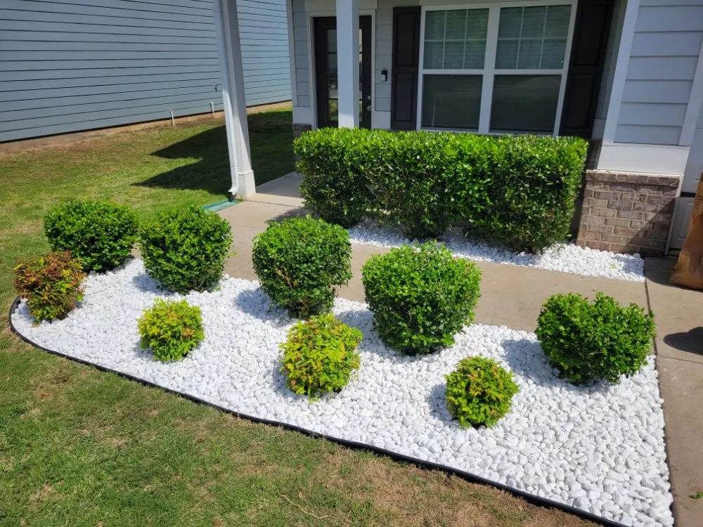 Expert garden landscaping for beautiful yards across Murfreesboro, TN - Tn Lawnsmiths