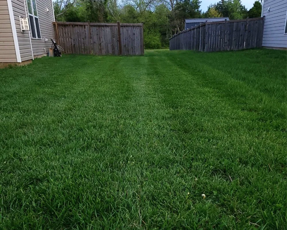 Affordable lawn mowing service with custom design in Murfreesboro, TN by Tn Lawnsmiths