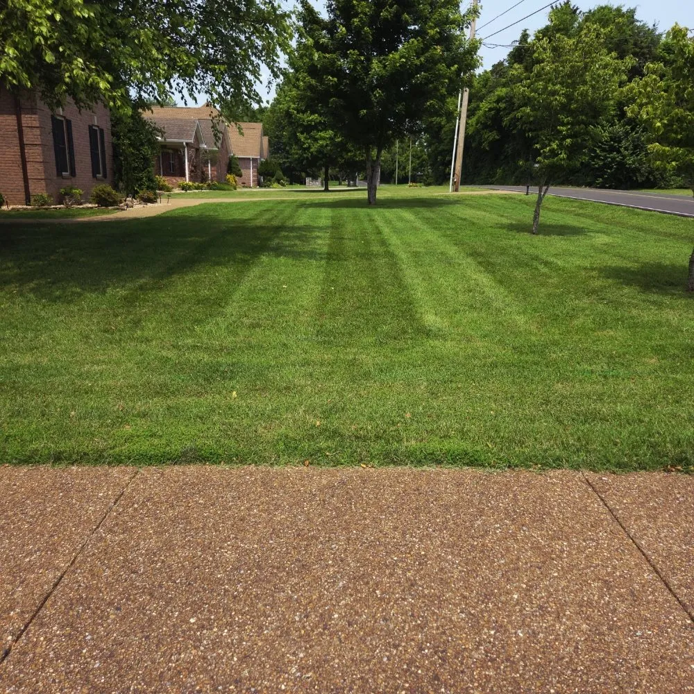 Trusted lawn mowing service in Murfreesboro, TN by Tn Lawnsmiths