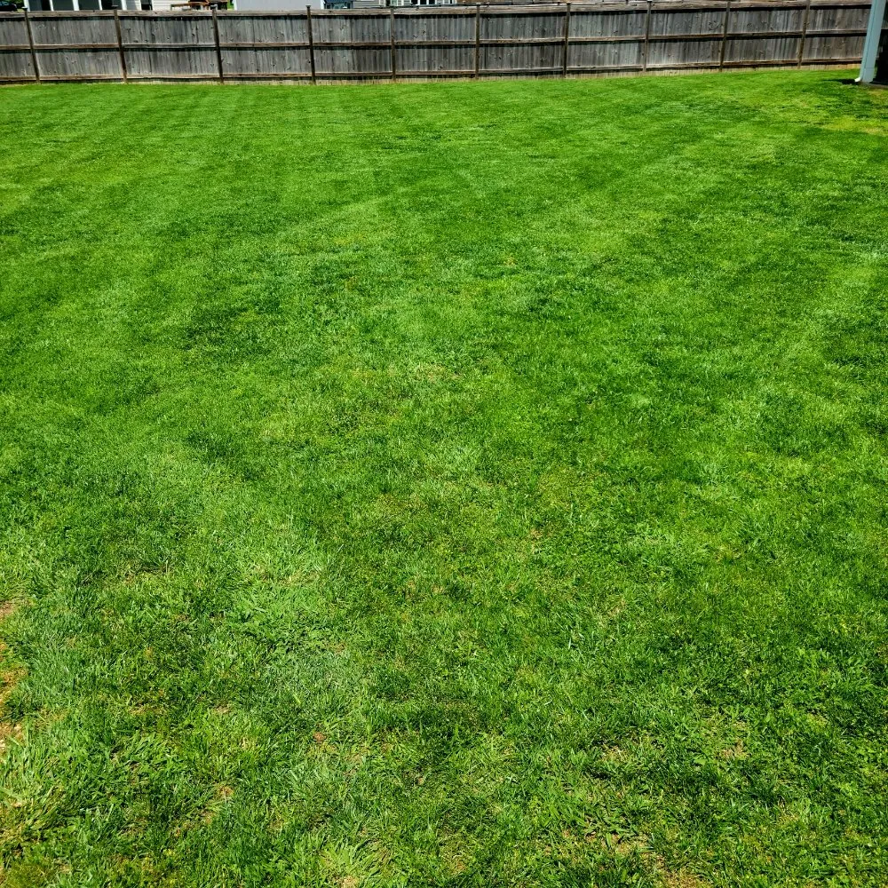 Local yard maintenance experts serving Murfreesboro, TN - Tn Lawnsmiths