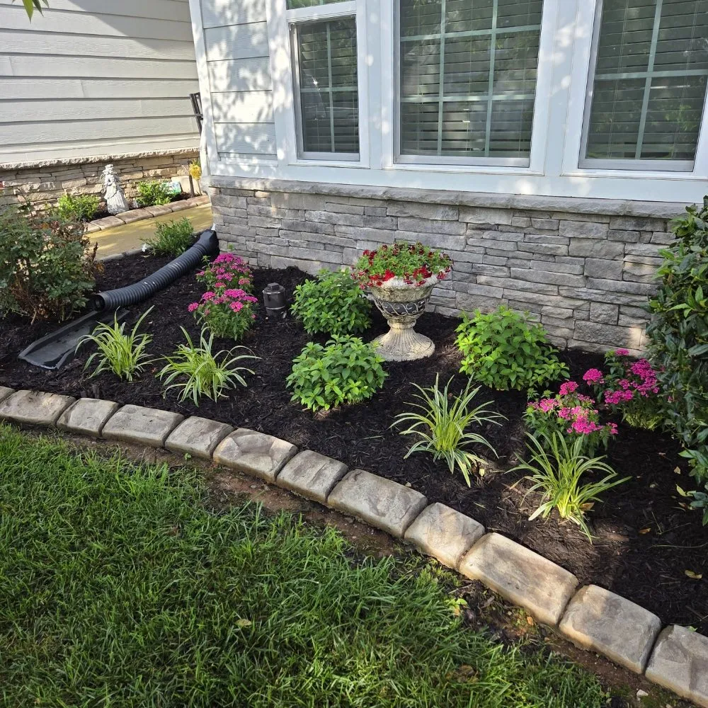 Trusted yard cleanup service in Murfreesboro, TN by Tn Lawnsmiths