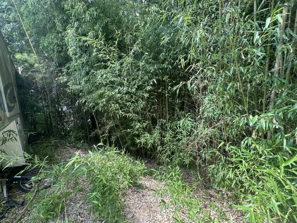 Affordable lawn mowing service with custom design in Clarksville, TN by TN Superior Landscaping