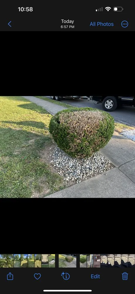 Expert residential landscaping for homes across Clarksville, TN - TN Superior Landscaping