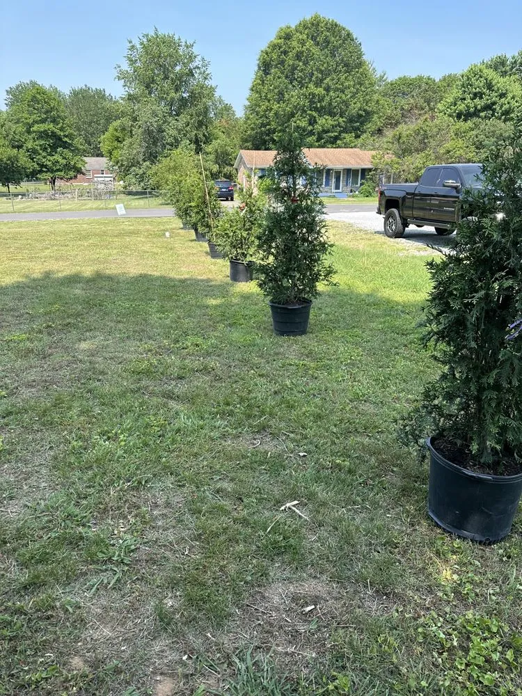 Professional yard maintenance for homes in Clarksville, TN by TN Superior Landscaping