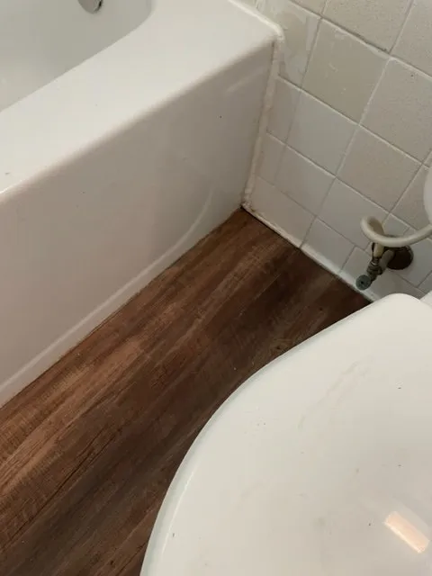 Custom landscaping services experts serving Mount Pleasant, SC - Tn T Home Services