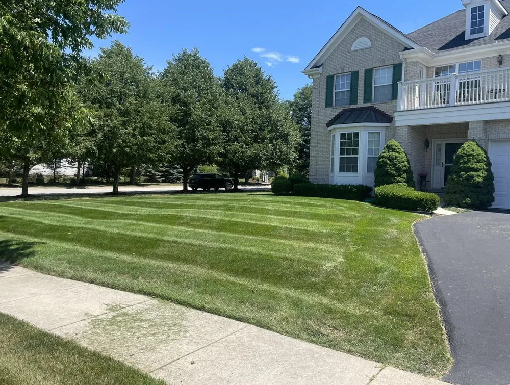 Top-rated yard cleanup service for year-round maintenance across Bolingbrook, IL - TNA Landscaping