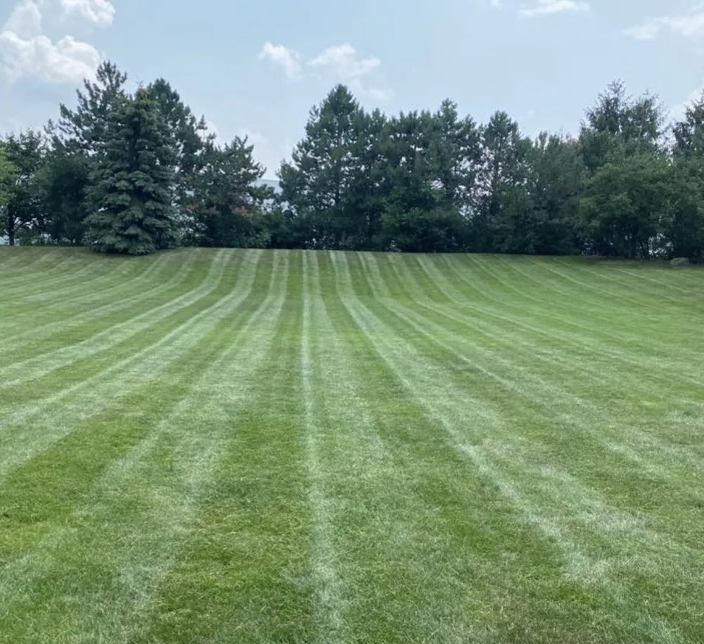 Professional landscape installation with custom design across Bolingbrook, IL - TNA Landscaping