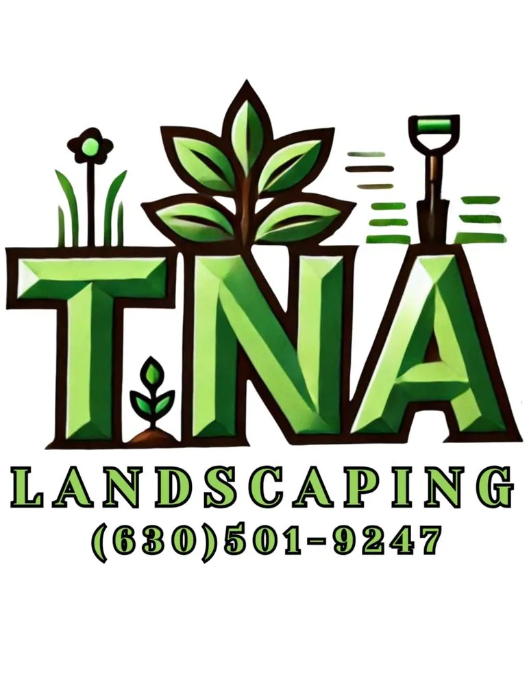 Reliable yard cleanup service for year-round maintenance in Bolingbrook, IL by TNA Landscaping