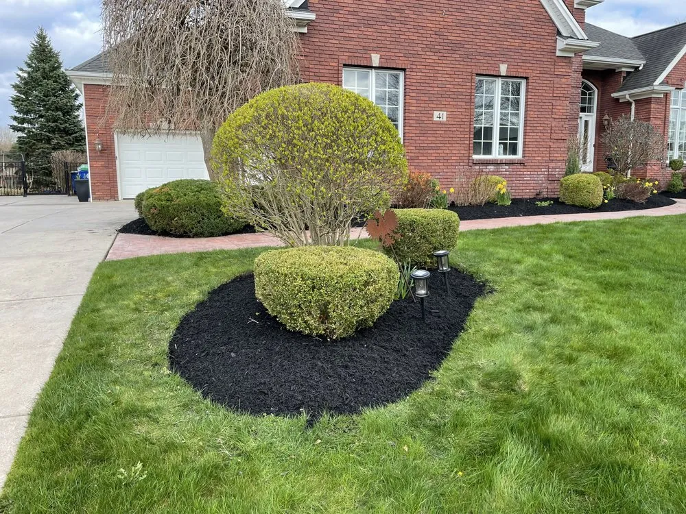 Trusted lawn care service for beautiful yards in Buffalo, NY by TNA Landscaping