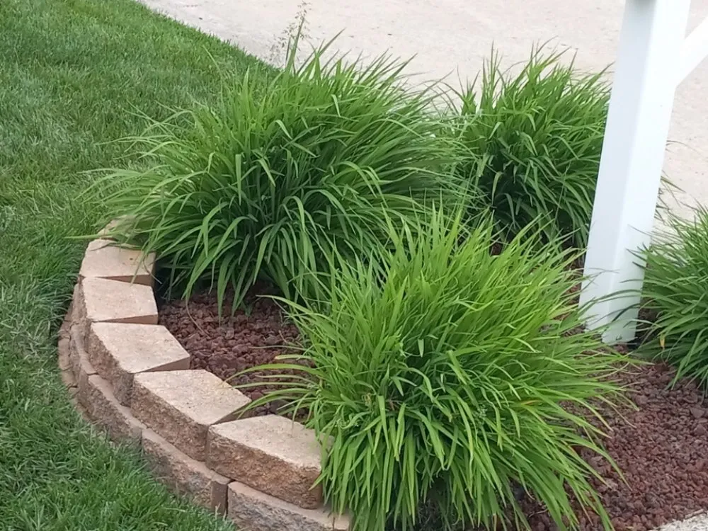 Top-rated yard cleanup service in Ofallon, MO - TNC Contracting
