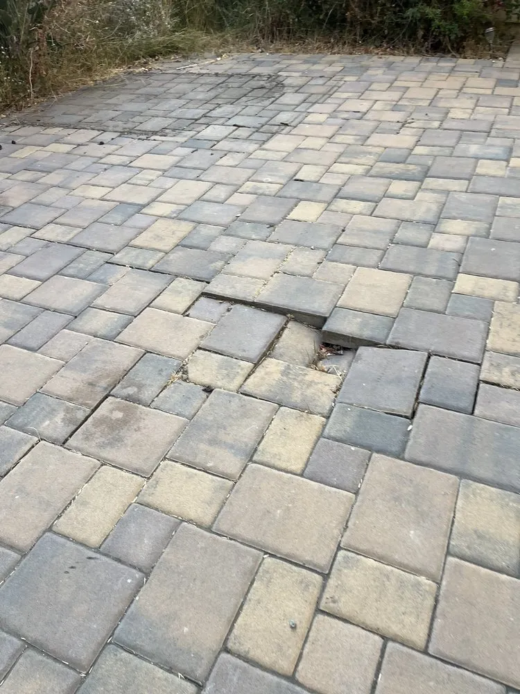 Professional lawn mowing service in Santa Clara, CA by Tnd Landscape Service