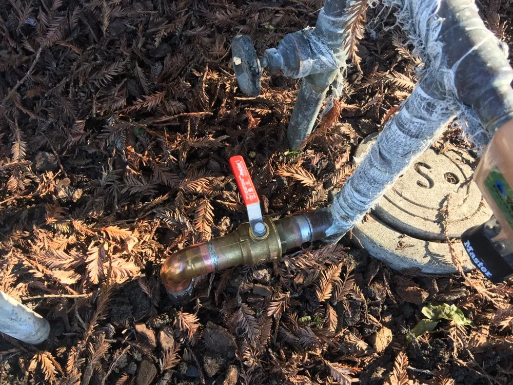 Local garden landscaping in Santa Clara, CA by Tnd Landscape Service