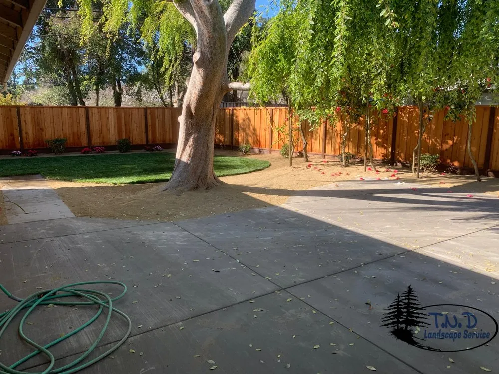 Affordable yard cleanup service in Santa Clara, CA by Tnd Landscape Service