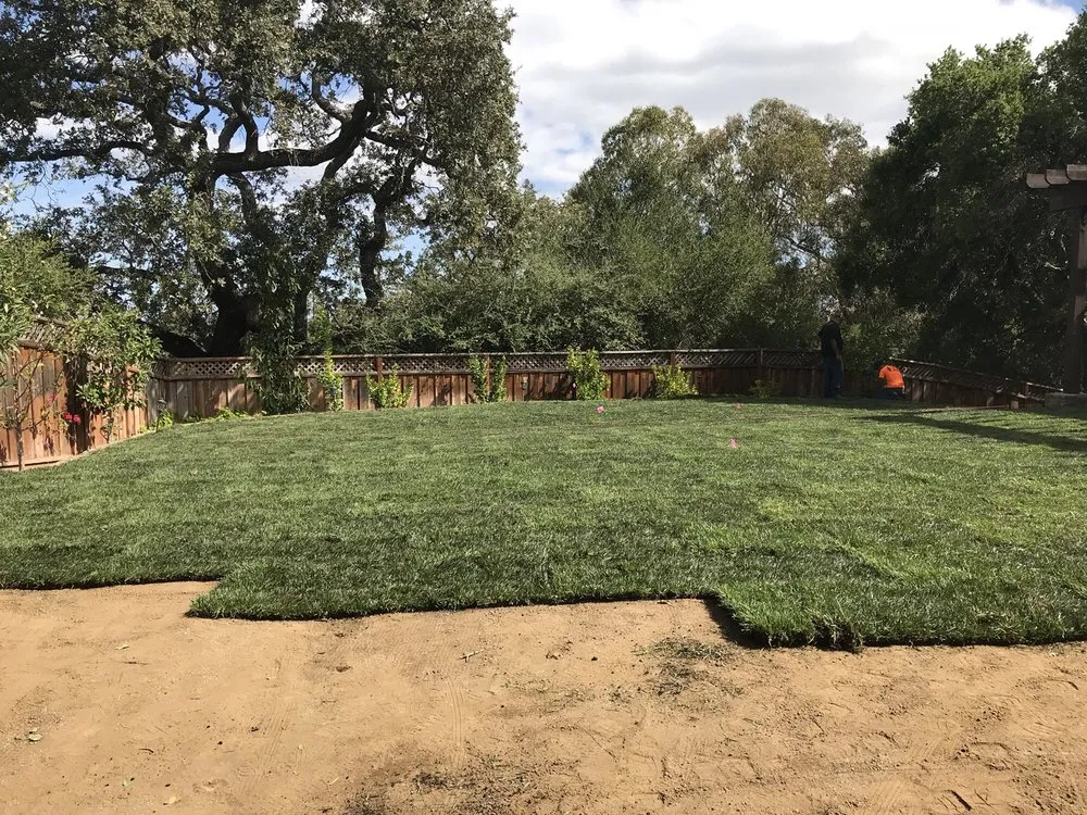 Expert lawn mowing service experts serving Santa Clara, CA - Tnd Landscape Service