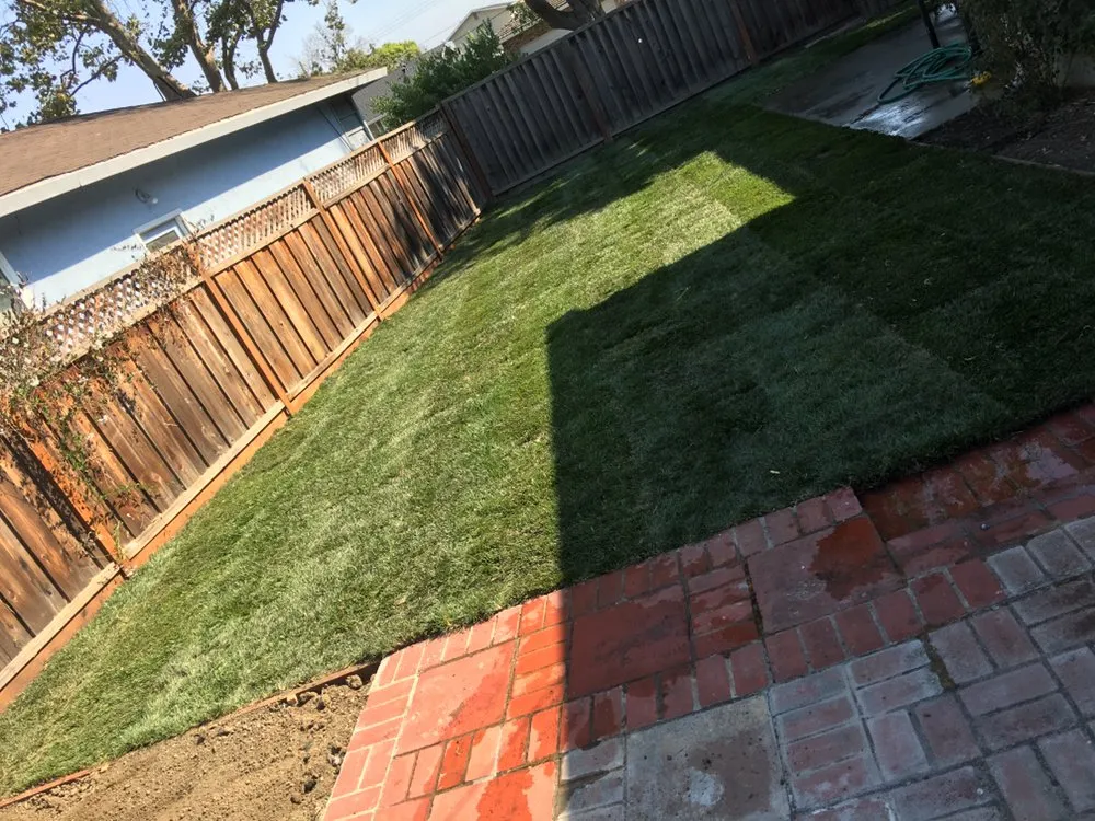 Professional lawn care service for outdoor upgrades in Santa Clara, CA by Tnd Landscape Service