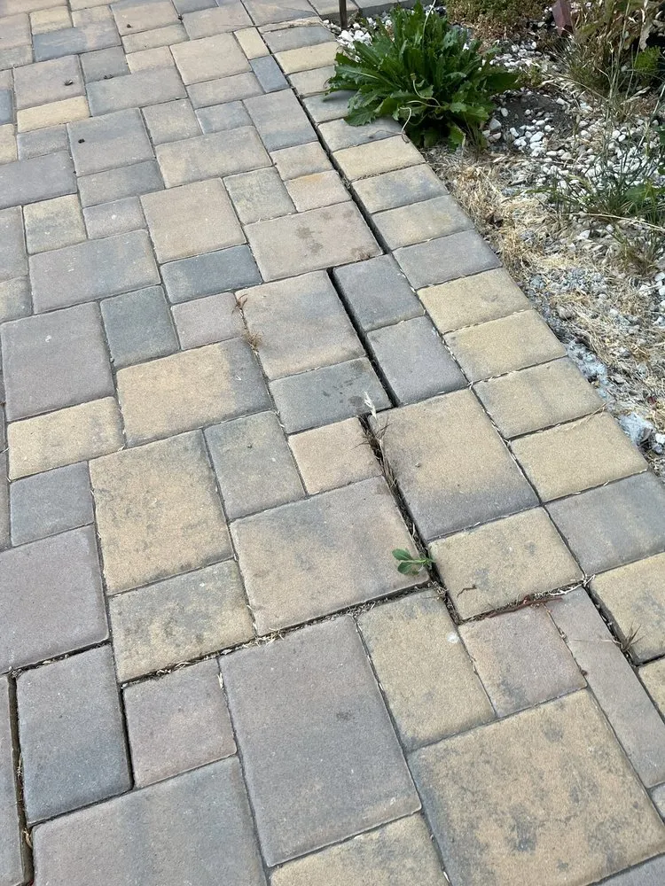 Affordable yard cleanup service for outdoor upgrades in Santa Clara, CA by Tnd Landscape Service