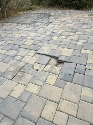 Tnd Landscape Service Logo