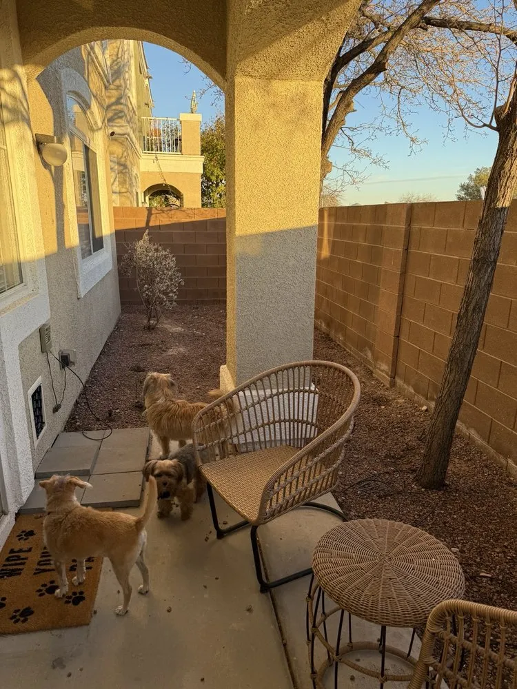 Custom lawn care service in Henderson, NV by TND Landscaping and Construction