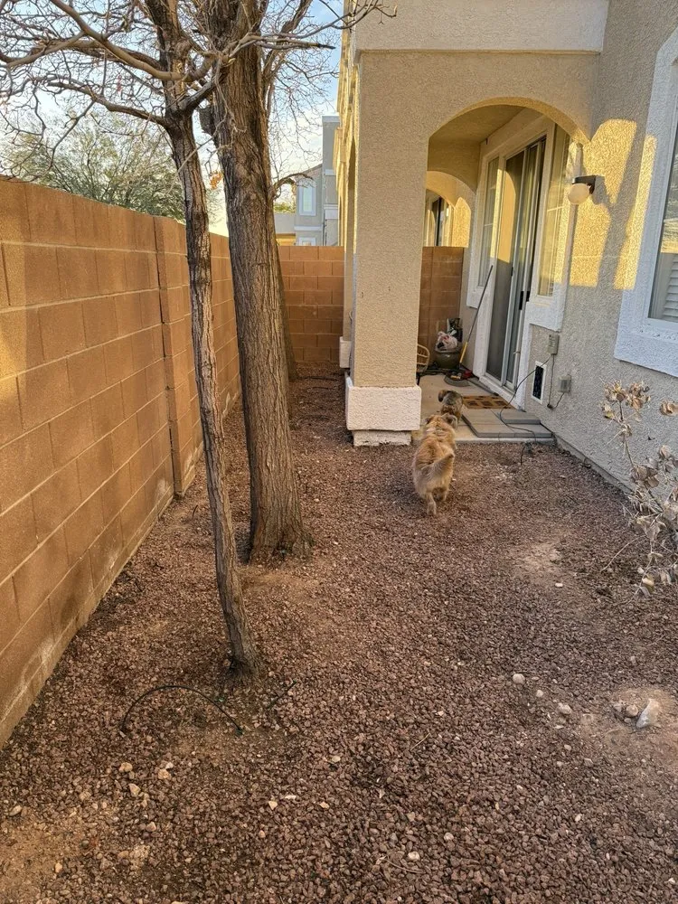 Expert lawn mowing service for homes in Henderson, NV by TND Landscaping and Construction