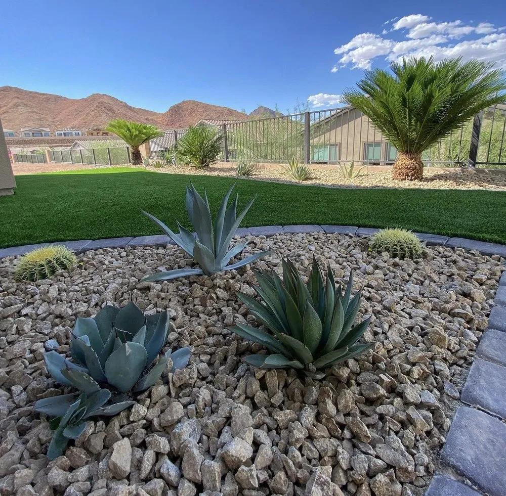 Top-rated yard maintenance in Henderson, NV - TND Landscaping and Construction