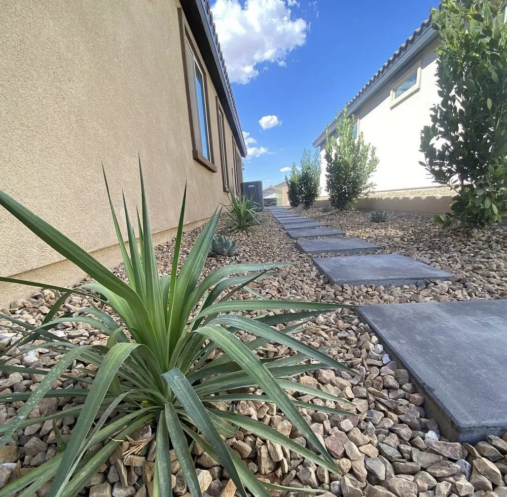 Custom yard cleanup service experts serving Henderson, NV - TND Landscaping and Construction