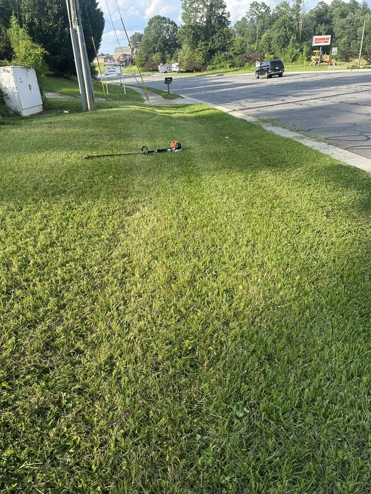 Trusted lawn mowing service experts serving Marion, NC - TNE Lawn & Trimming