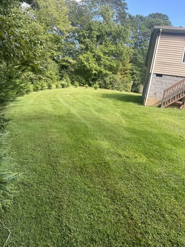Professional landscaping services in Marion, NC by TNE Lawn & Trimming
