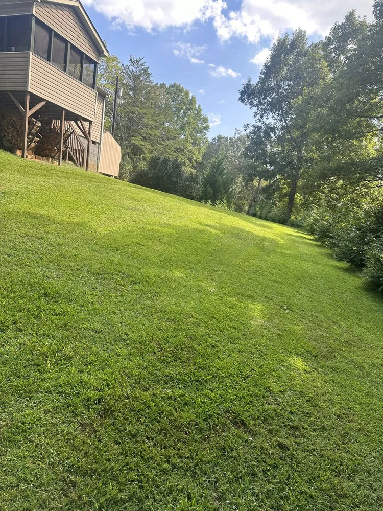 Affordable landscaping services in Marion, NC - TNE Lawn & Trimming