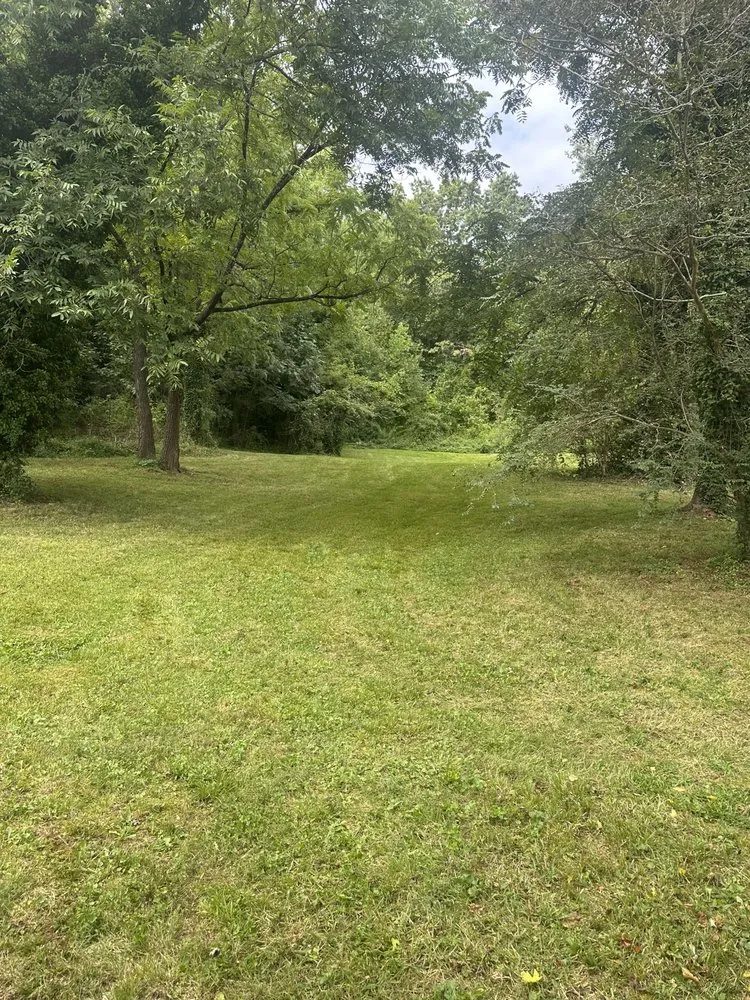 Professional residential landscaping experts serving Marion, NC - TNE Lawn & Trimming