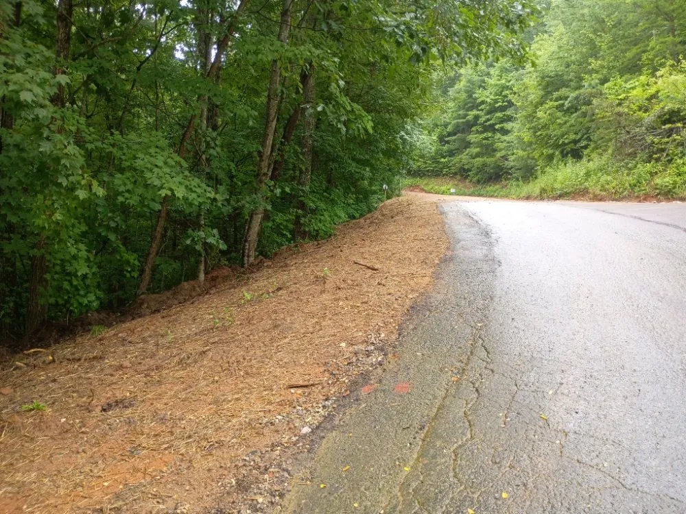 Affordable outdoor landscaping for year-round maintenance across Blairsville, GA - TNE Mobile services