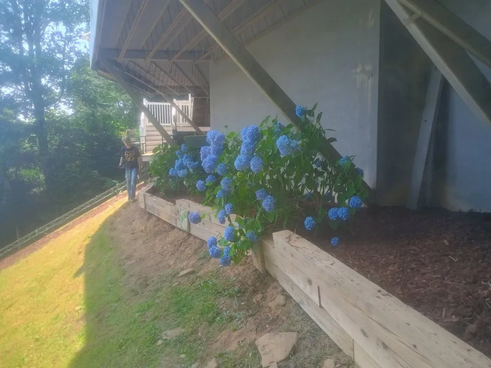 Professional yard cleanup service with custom design in Blairsville, GA by TNE Mobile services
