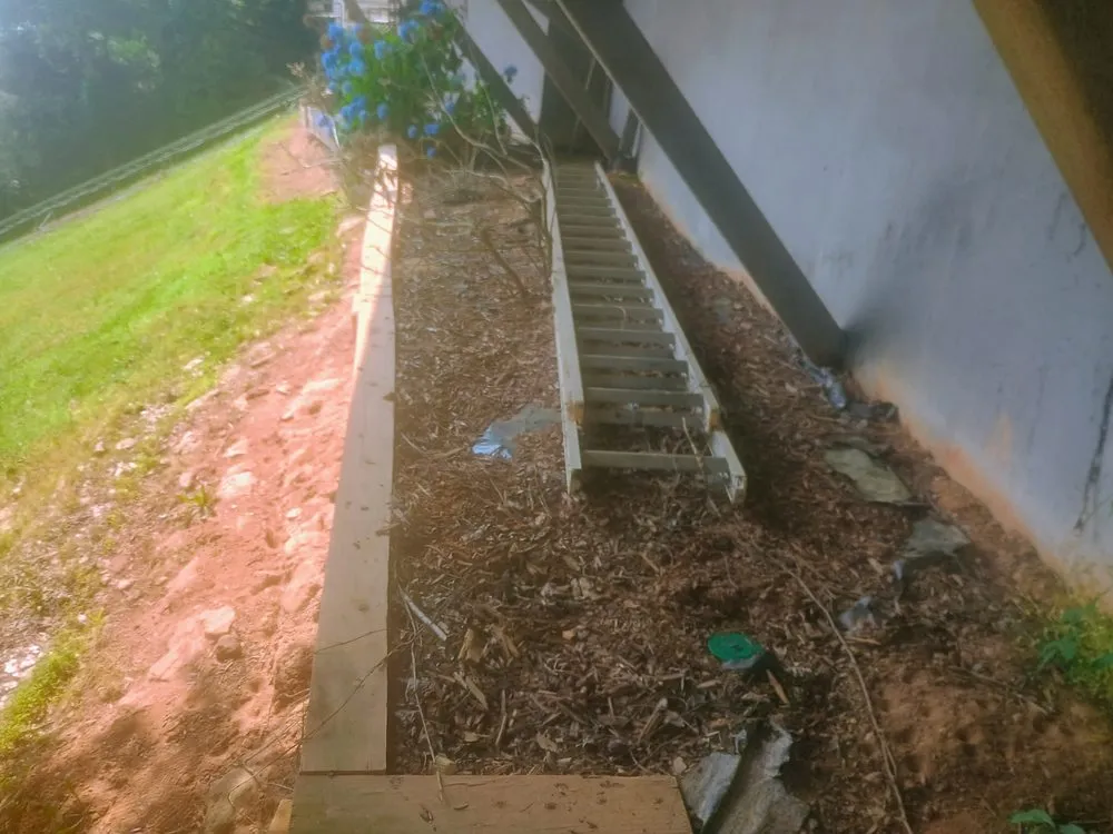 Top-rated yard cleanup service experts serving Blairsville, GA - TNE Mobile services