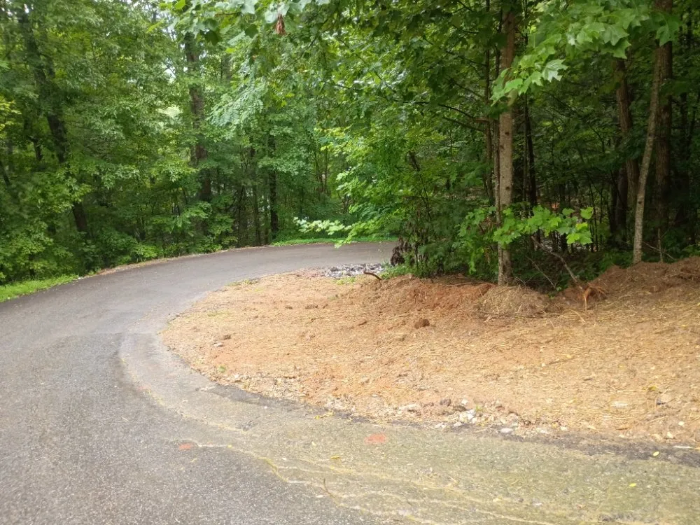 Expert lawn mowing service experts serving Blairsville, GA - TNE Mobile services