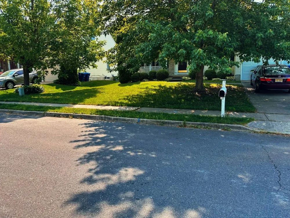 Top-rated landscape design in Eastampton Township, NJ by TnF Landscaping