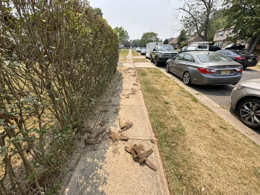 Top-rated landscaping services for outdoor upgrades in Eastampton Township, NJ by TnF Landscaping