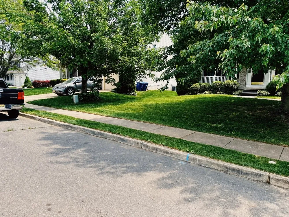 Local yard cleanup service for homes in Eastampton Township, NJ by TnF Landscaping