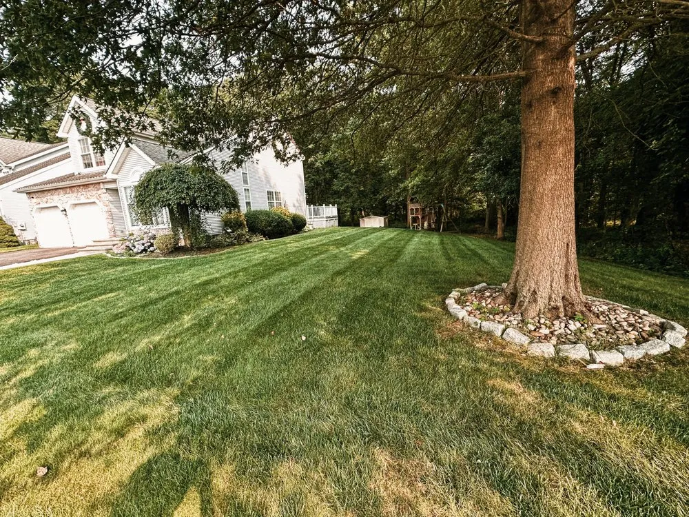 Custom landscape design for year-round maintenance in Eastampton Township, NJ by TnF Landscaping