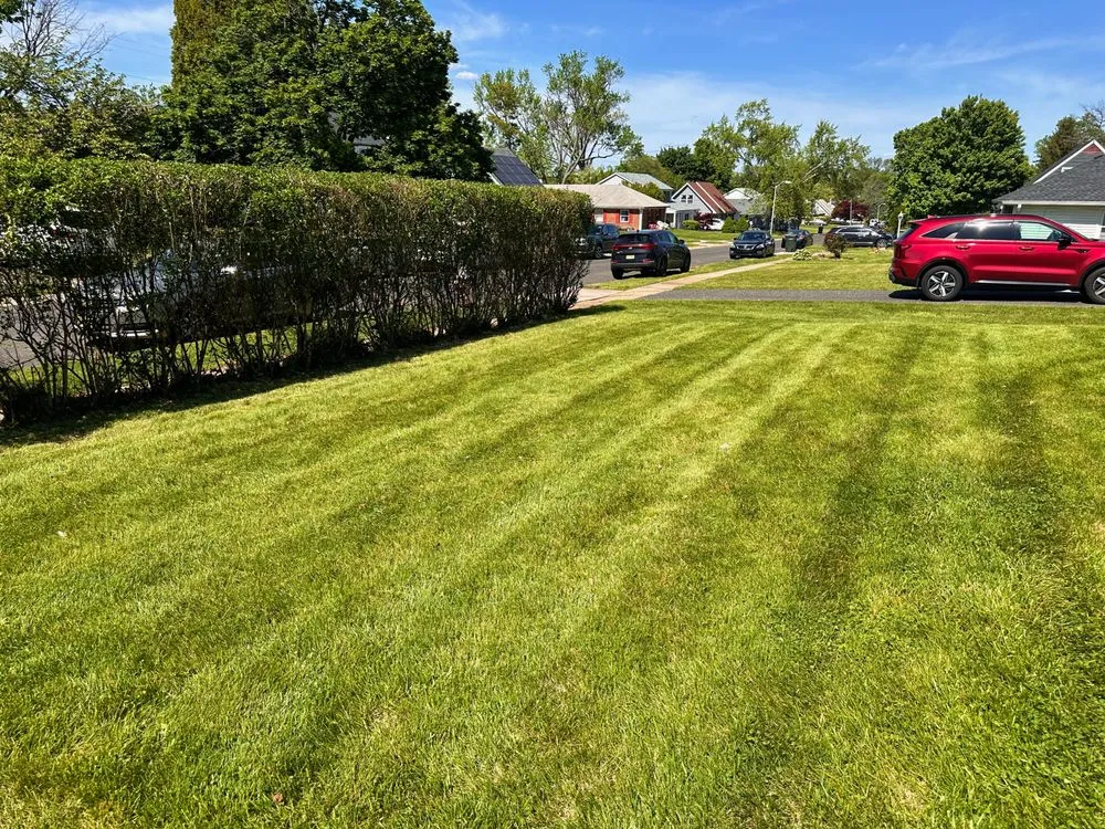 Reliable lawn care service for homes across Eastampton Township, NJ - TnF Landscaping