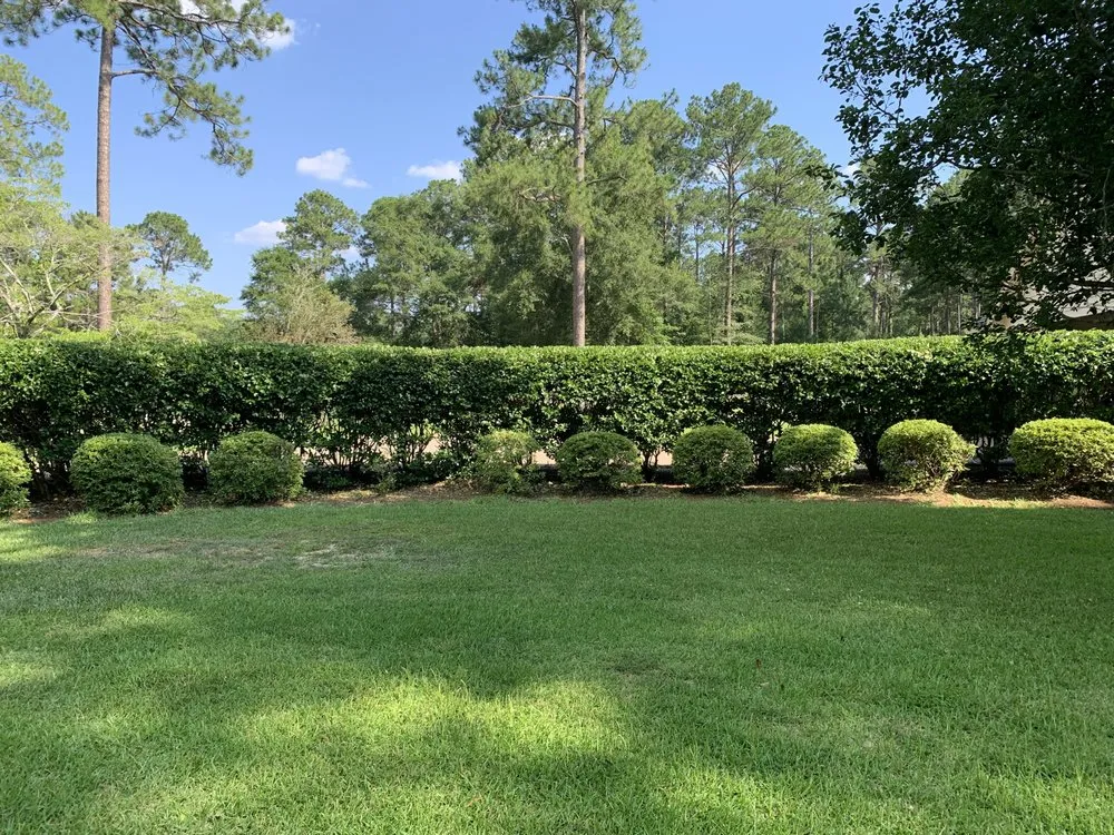 Top-rated yard maintenance experts serving Albany, GA - TNG's Landscaping
