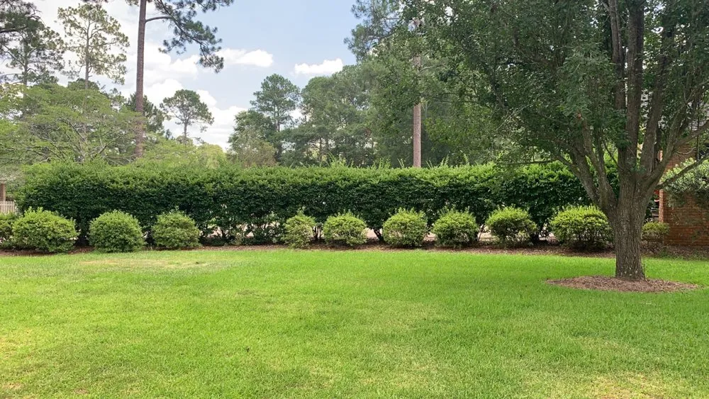 Custom lawn mowing service in Albany, GA - TNG's Landscaping