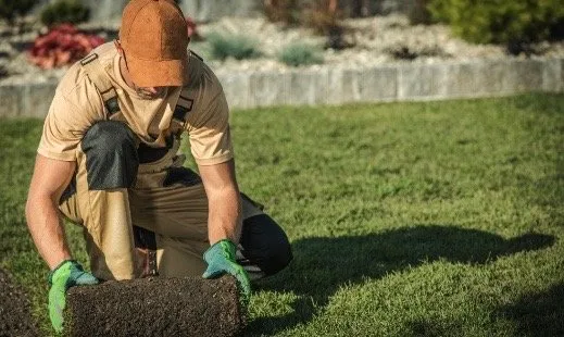 Expert garden landscaping in Abilene, TX - TNJ Lawn Service