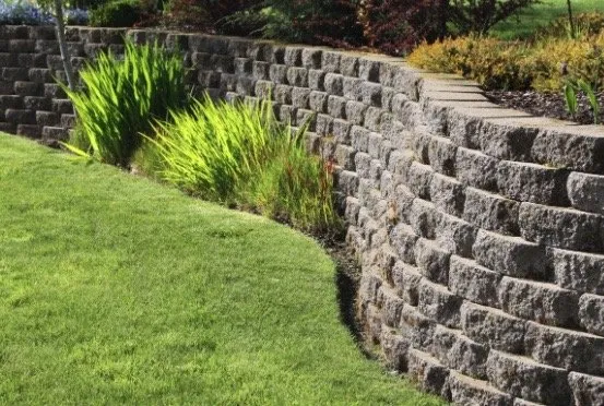 Expert lawn mowing service for homes across Abilene, TX - TNJ Lawn Service