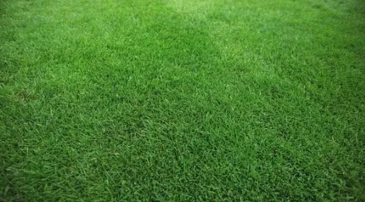 Reliable garden landscaping experts serving Abilene, TX - TNJ Lawn Service