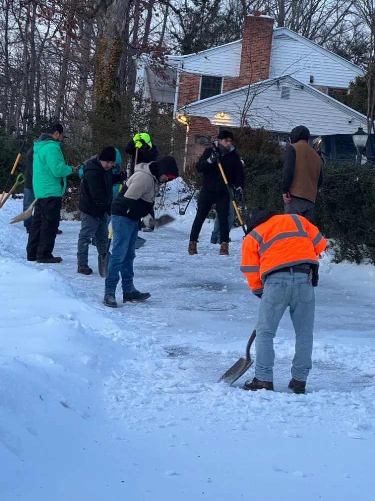 Expert landscaping services in Falls Church, VA by TNK Home & Lawn