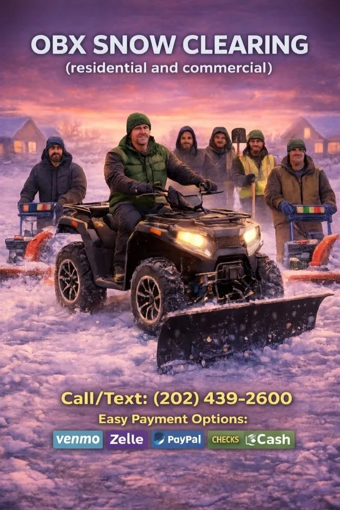 Affordable outdoor landscaping with custom design in Falls Church, VA by TNK Home & Lawn