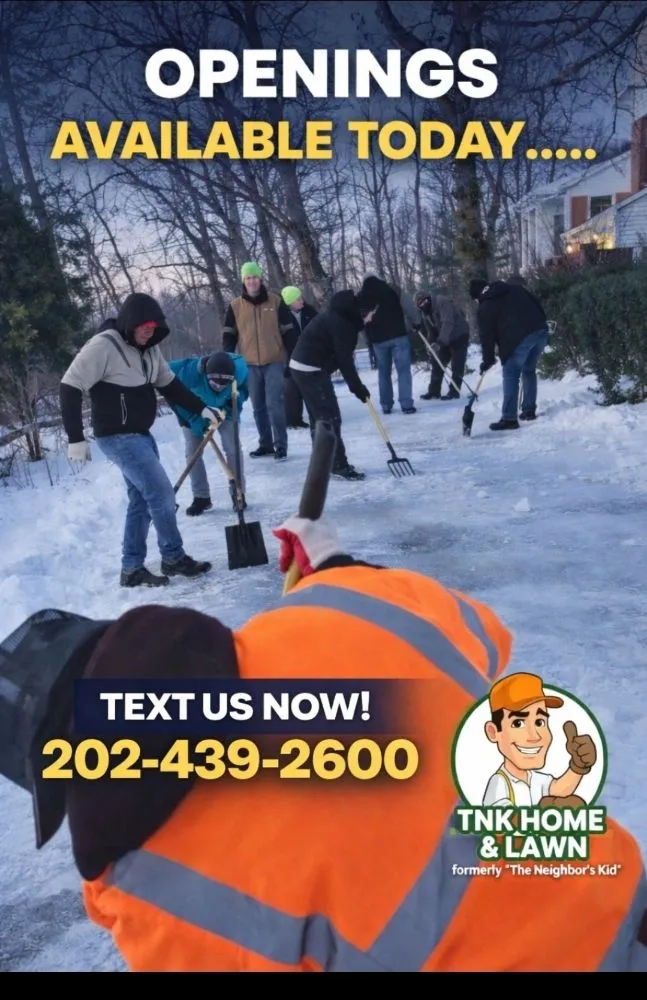 Professional yard maintenance in Falls Church, VA - TNK Home & Lawn