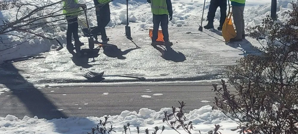 Top-rated lawn mowing service in Falls Church, VA - TNK Home & Lawn