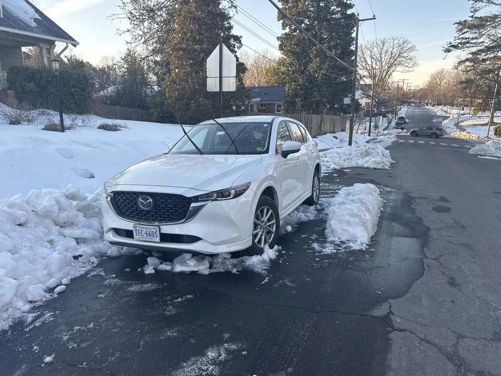 Affordable garden landscaping for outdoor upgrades across Falls Church, VA - TNK Home & Lawn