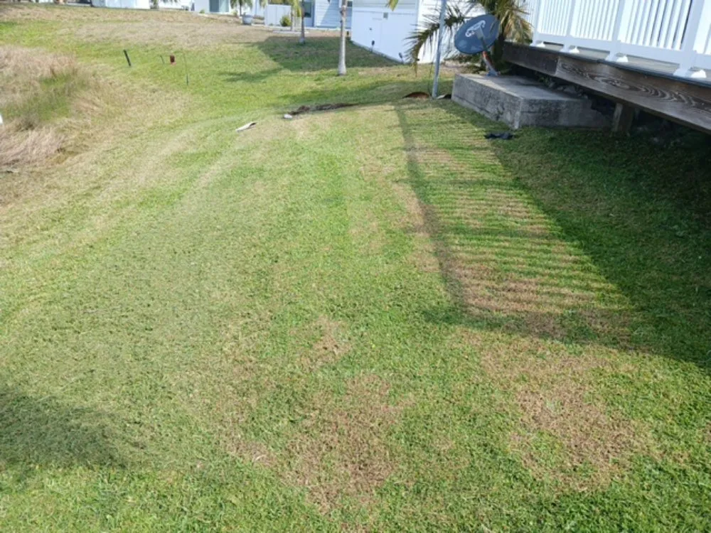 Reliable lawn care service experts serving Apopka, FL - TNL Lawn Legends